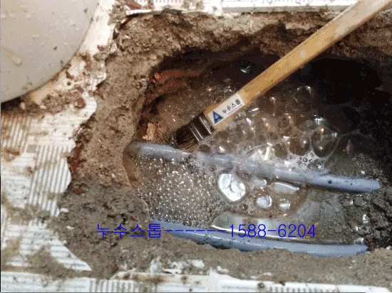 원룸누수 신사동