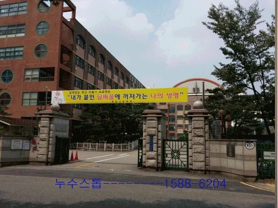 [내시경/기타공사 누수] 현장 탐지 및 복구 공사 사례