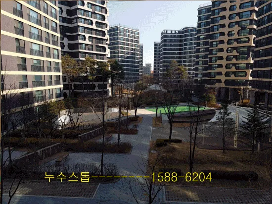 배관누수종합점검 및 탐지용역.