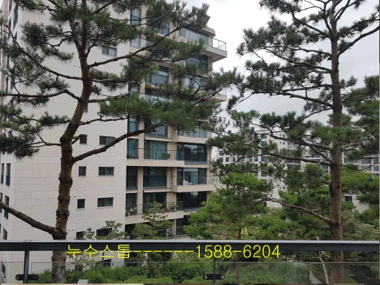 누수점검 배관(수도,온수,난방)