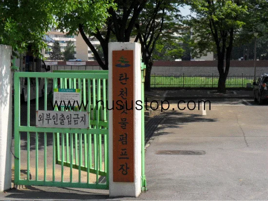[상수도 누수] 현장 탐지 및 완벽 복구 공사 사례