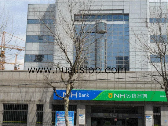 [상수도 누수] 현장 탐지 및 완벽 복구 공사 사례