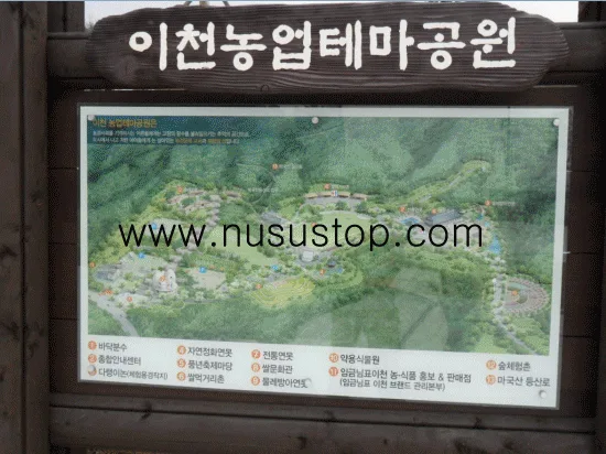 경기도 이천.테마공원 상수도 누수탐지.